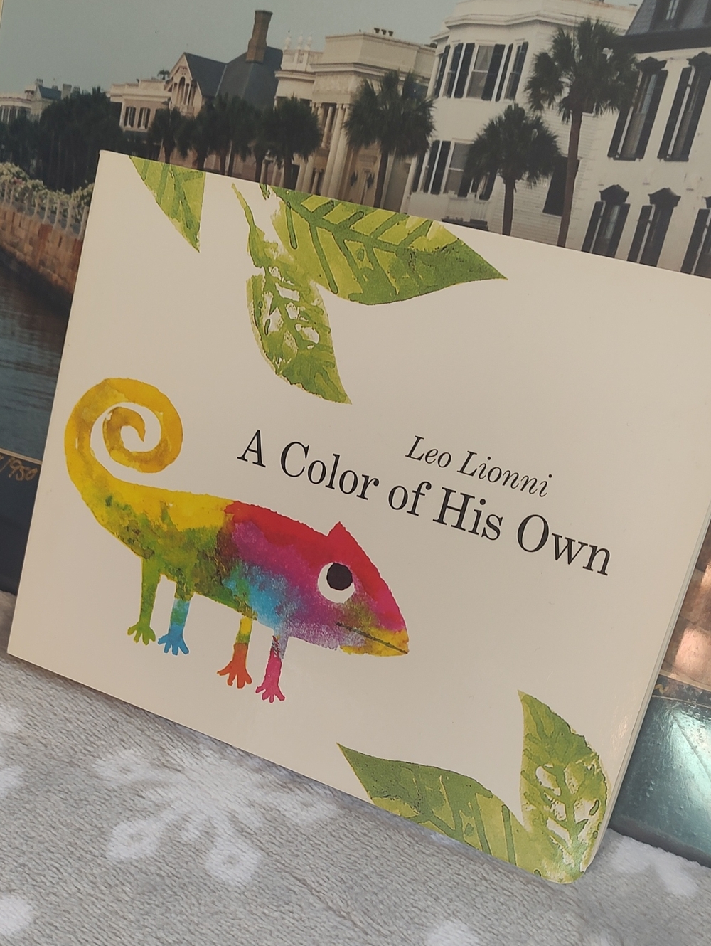 'A Color of His Own' Book 📚1975